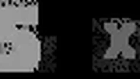 NBA常规赛：灰熊败于国王